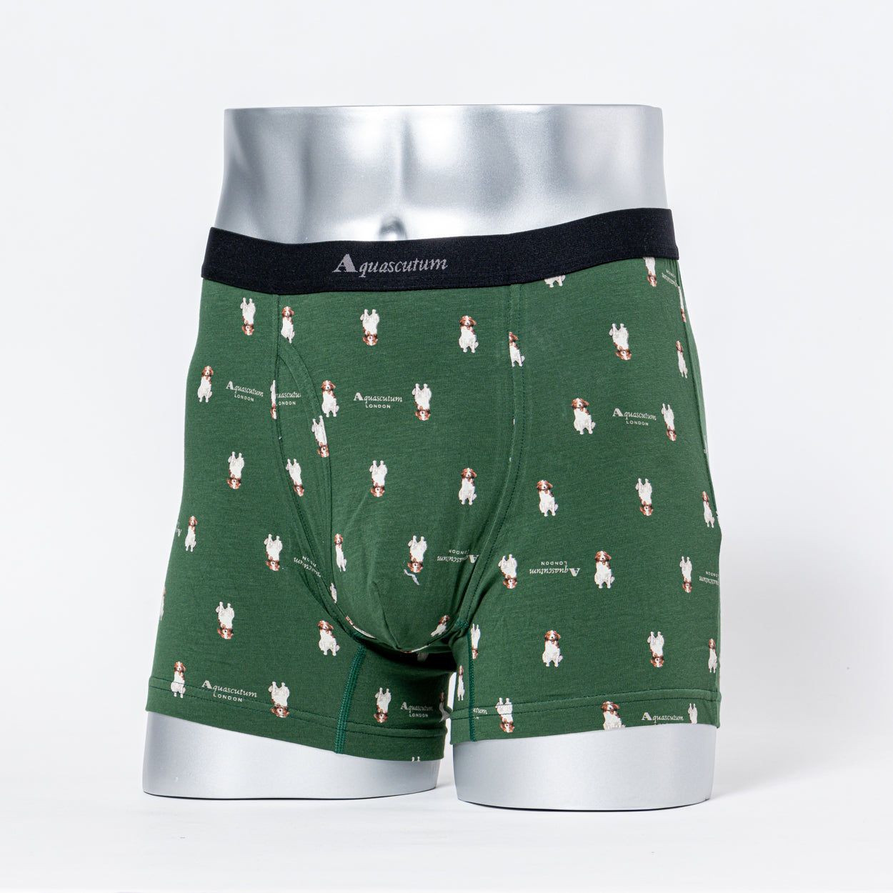 Aquascutum アクアスキュータム ニューライン ボクサー 25FW コーイケルホンディエ - パンツ Dark Green / LL RENOWNINX ONLINE SHOP