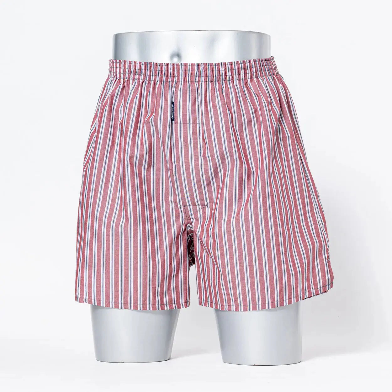 Aquascutum アクアスキュータム 裏打トランクス 25FW ストライプB - パンツ RENOWNINX ONLINE SHOP