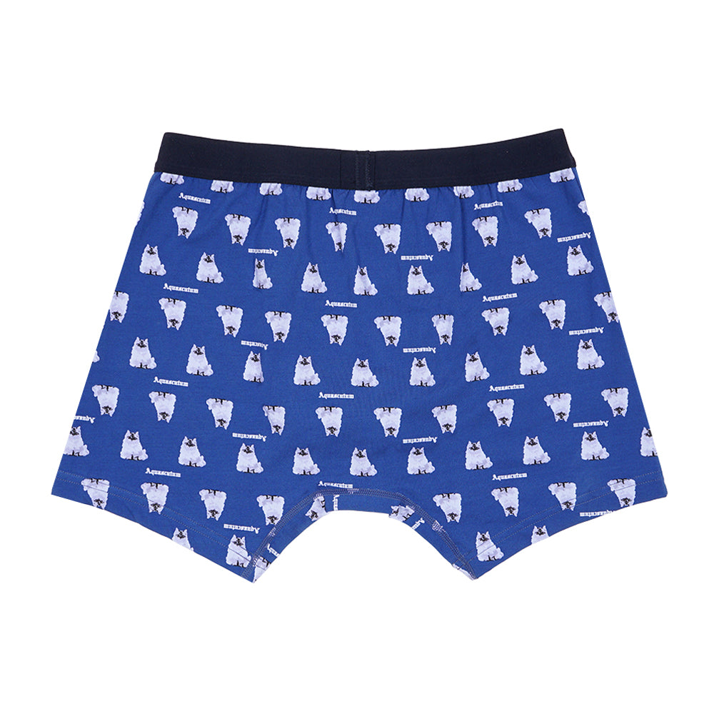 Aquascutum アクアスキュータム ニューライン ボクサー 25S AQキャット - パンツ  RENOWNINX ONLINE SHOP