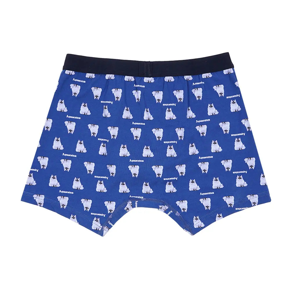 Aquascutum アクアスキュータム ニューライン ボクサー 25S AQキャット - パンツ RENOWNINX ONLINE SHOP