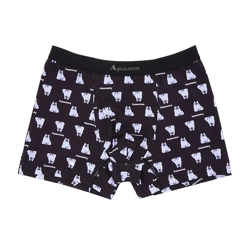 Aquascutum アクアスキュータム ニューライン ボクサー 25S AQキャット - パンツ Black / L RENOWNINX ONLINE SHOP