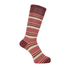 Aquascutum アクアスキュータム ソックス ソフトテンションマルチボーダー - カジュアルソックス Brown / 24-26 RENOWNINX ONLINE SHOP