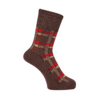 Aquascutum アクアスキュータム ソックス リッチェルタータンチェック - カジュアルソックス Dark Brown / 24-26 RENOWNINX ONLINE SHOP