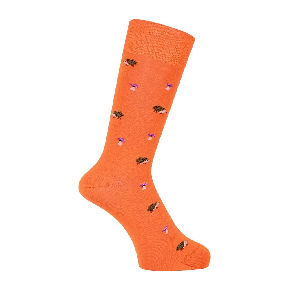 Aquascutum アクアスキュータム ニューライン ソックス ハリネズミ - カジュアルソックス Orange / 27-29 RENOWNINX ONLINE SHOP