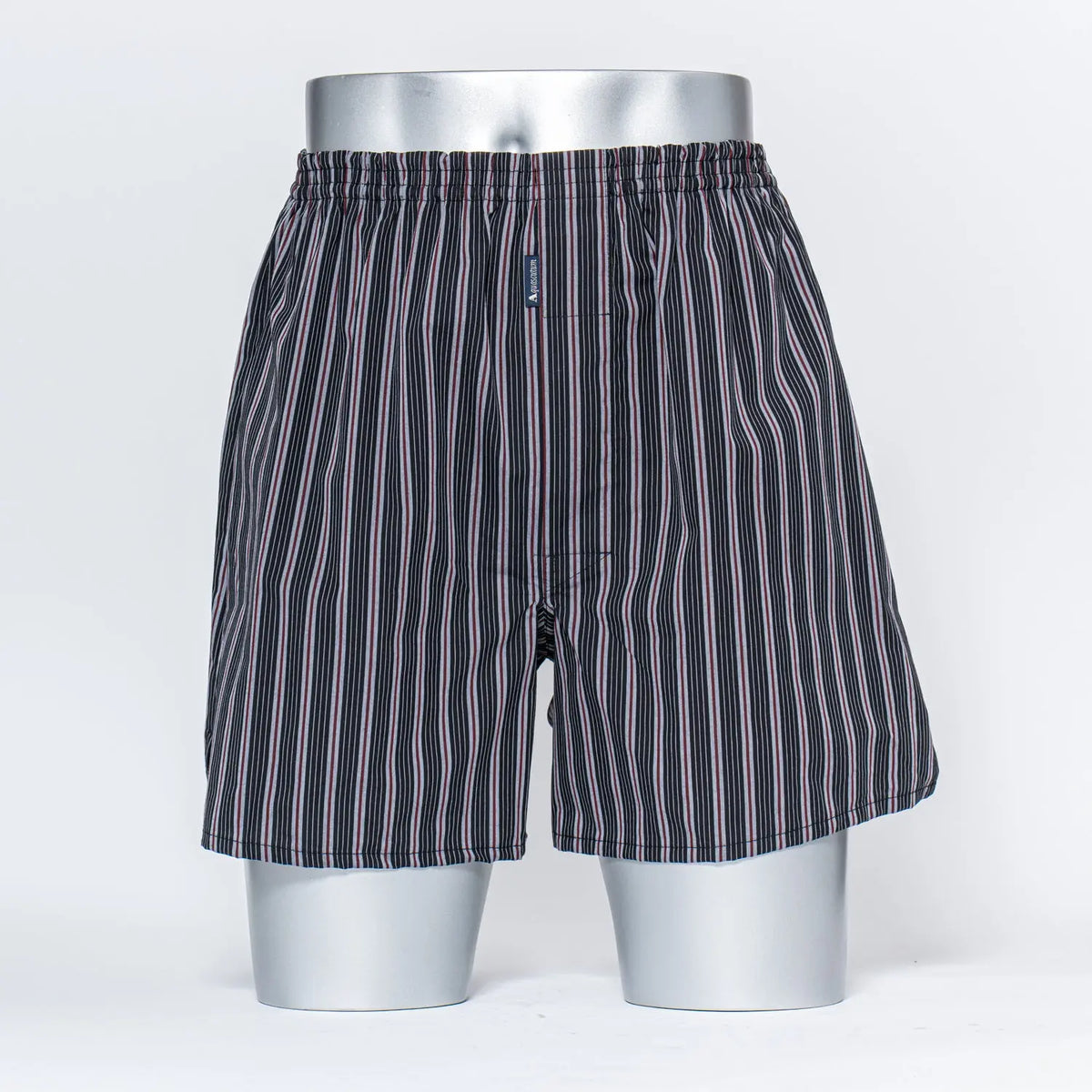 Aquascutum アクアスキュータムクラシックライン トランクス 26AW 2本ゴム ストライプA - パンツ RENOWNINX ONLINE SHOP