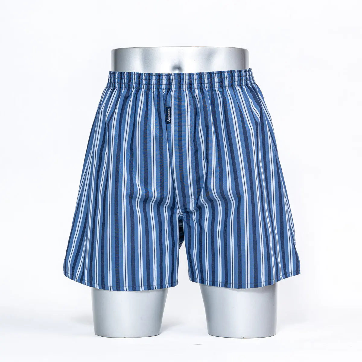 Aquascutum アクアスキュータム トランクス 26S ストライプA 裏打ちゴム - パンツ Blue / L RENOWNINX ONLINE SHOP
