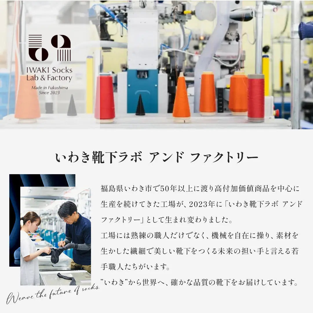 Aquascutum アクアスキュータム ソックス シャドーリブ - ビジネスソックス  RENOWNINX ONLINE SHOP