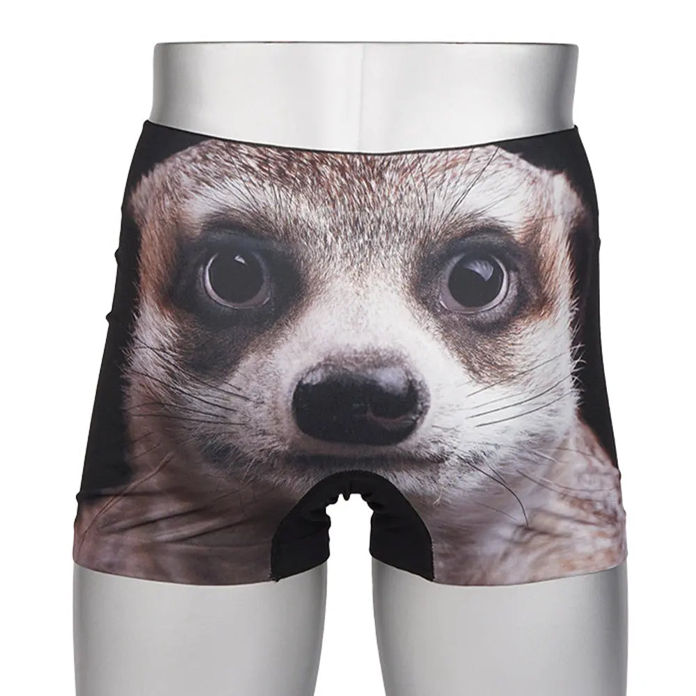 HIPSHOP ヒップショップ ボクサーパンツ Meerkat - パンツ RENOWNINX ONLINE SHOP