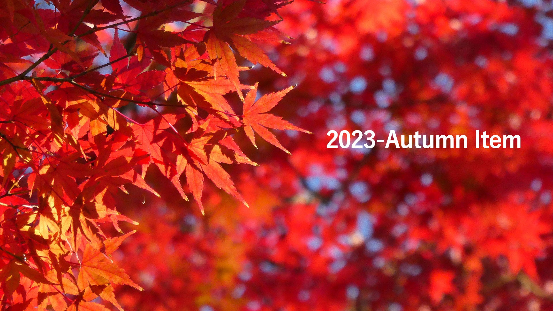 Autumn Item