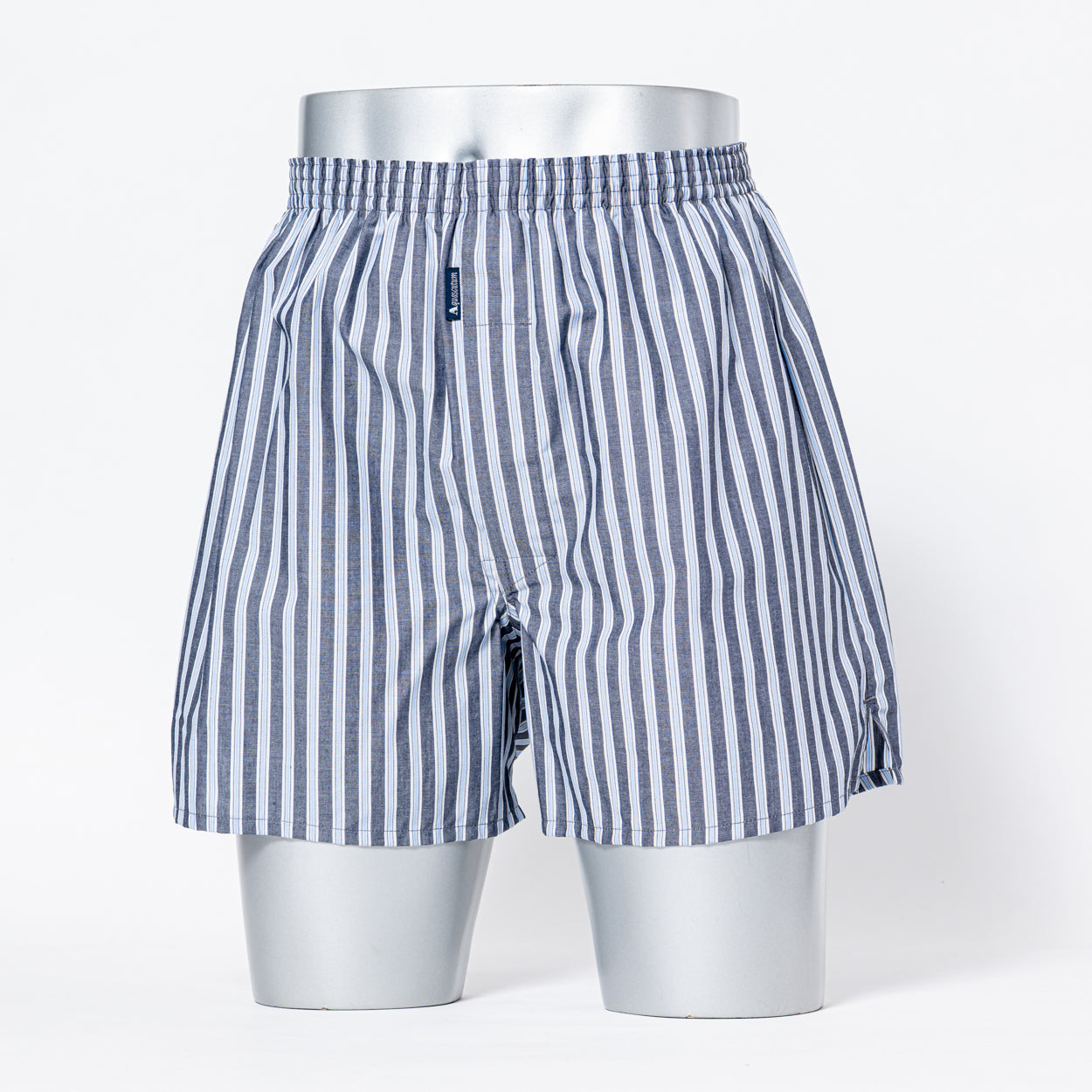 Aquascutum アクアスキュータム 裏打トランクス 25FW ストライプB - パンツ Blue / LL RENOWNINX ONLINE SHOP