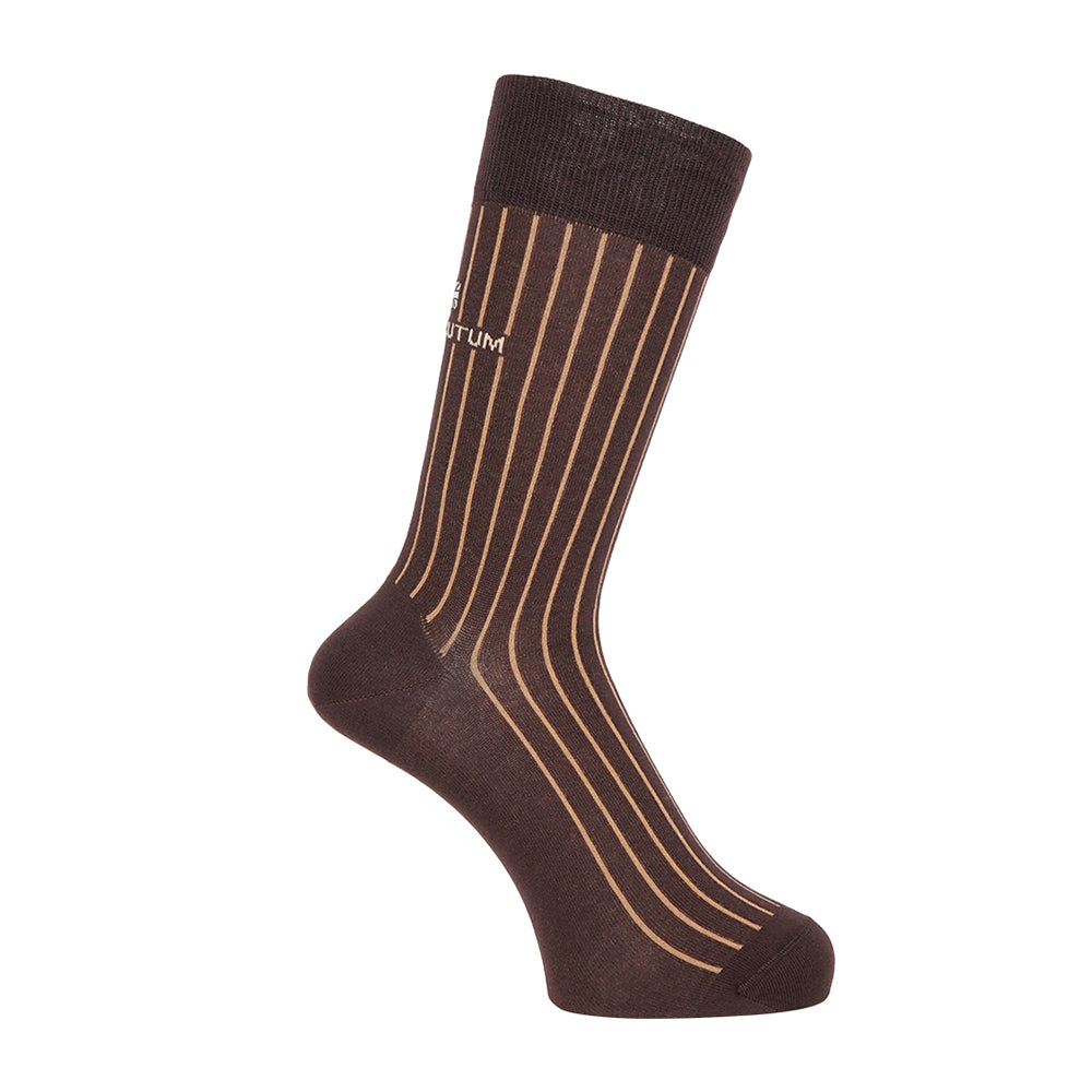 Aquascutum アクアスキュータム ソックス スマートストライプ - ビジネスソックス Dark Brown / 25-27 RENOWNINX ONLINE SHOP