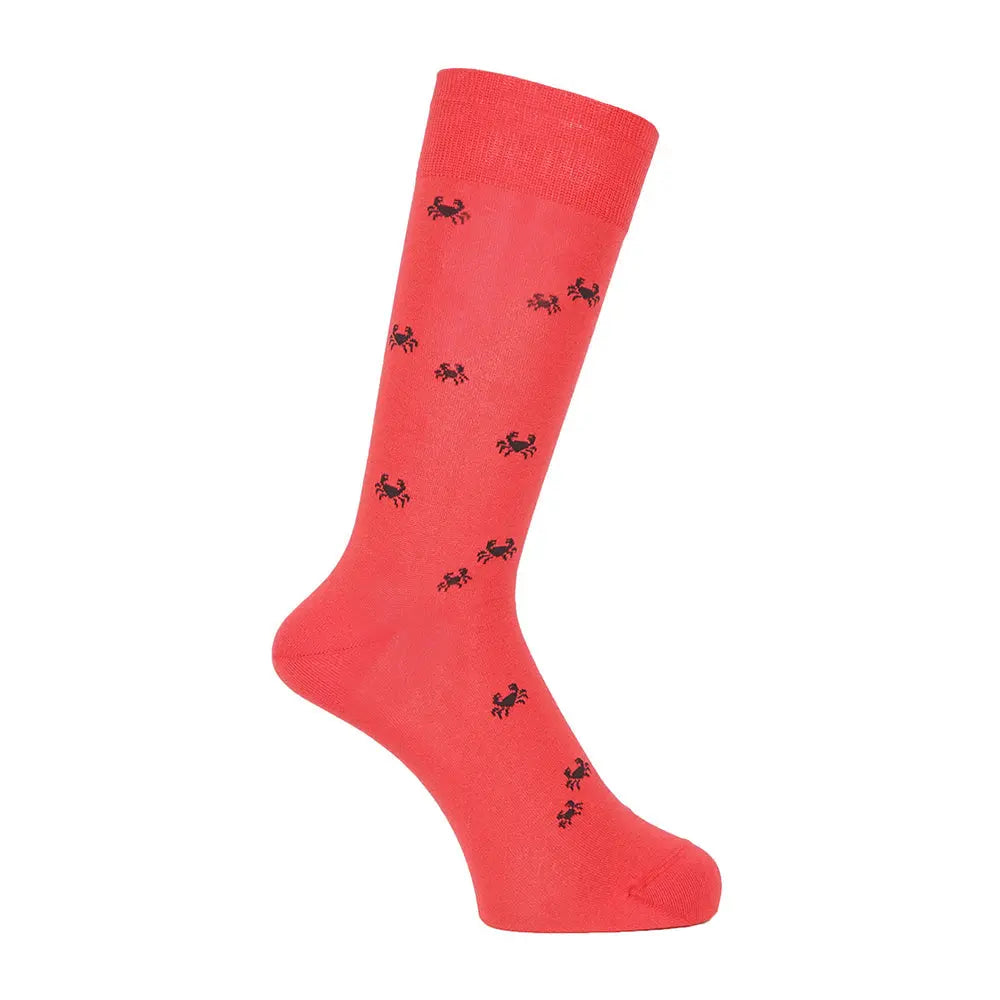 Aquascutum アクアスキュータム ニューライン ソックス クールクラブ - カジュアルソックス Red / 25-27 RENOWNINX ONLINE SHOP