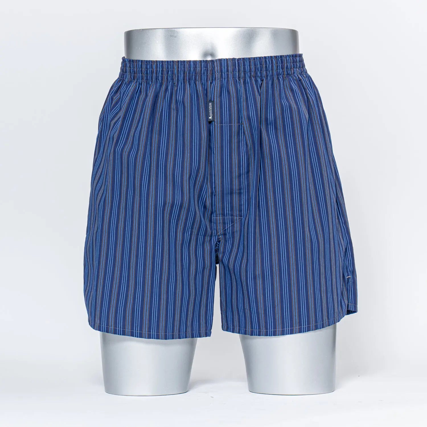 Aquascutum アクアスキュータムクラシックライン 裏打 トランクス 26AW