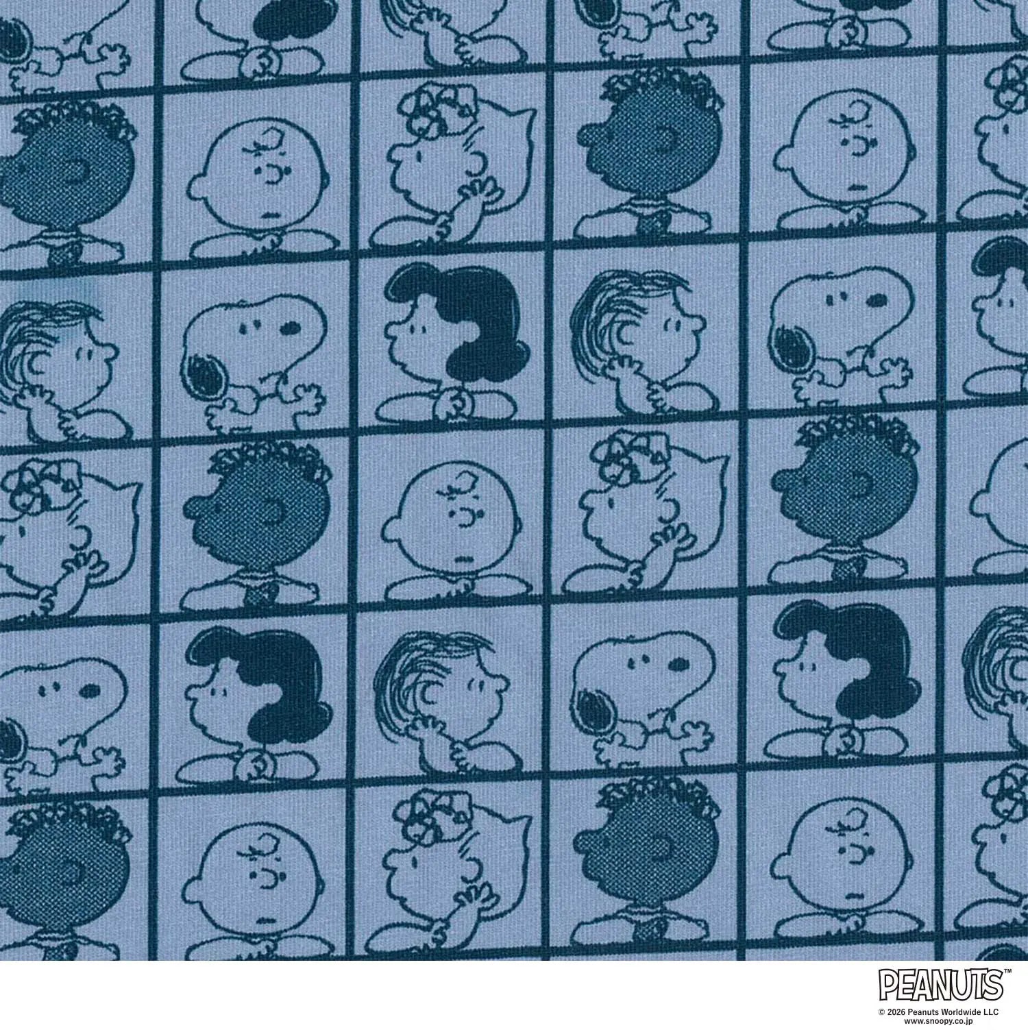 PEANUTS ピーナッツ ボクサー 26AW ブロックピーナッツフレンズ - パンツ  RENOWNINX ONLINE SHOP