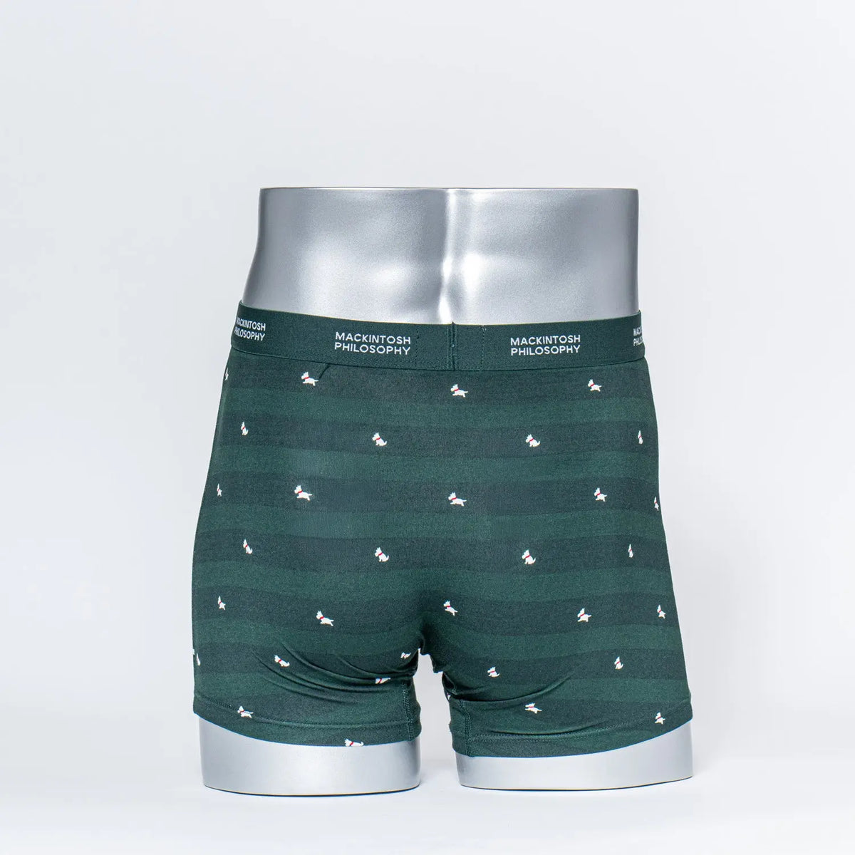 MACKINTOSH PHILOSOPHY マッキントッシュ フィロソフィー ボクサー 26AW ボーダー ランニングテリア - パンツ  RENOWNINX ONLINE SHOP