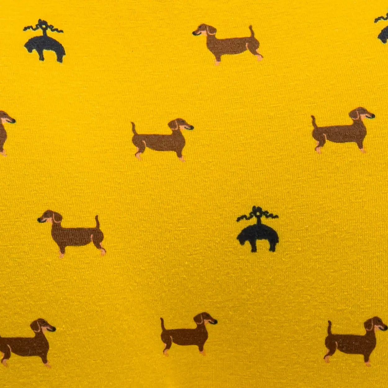 Brooks Brothers ブルックス ブラザーズ ボクサー 26SS ドッグ - パンツ  RENOWNINX ONLINE SHOP