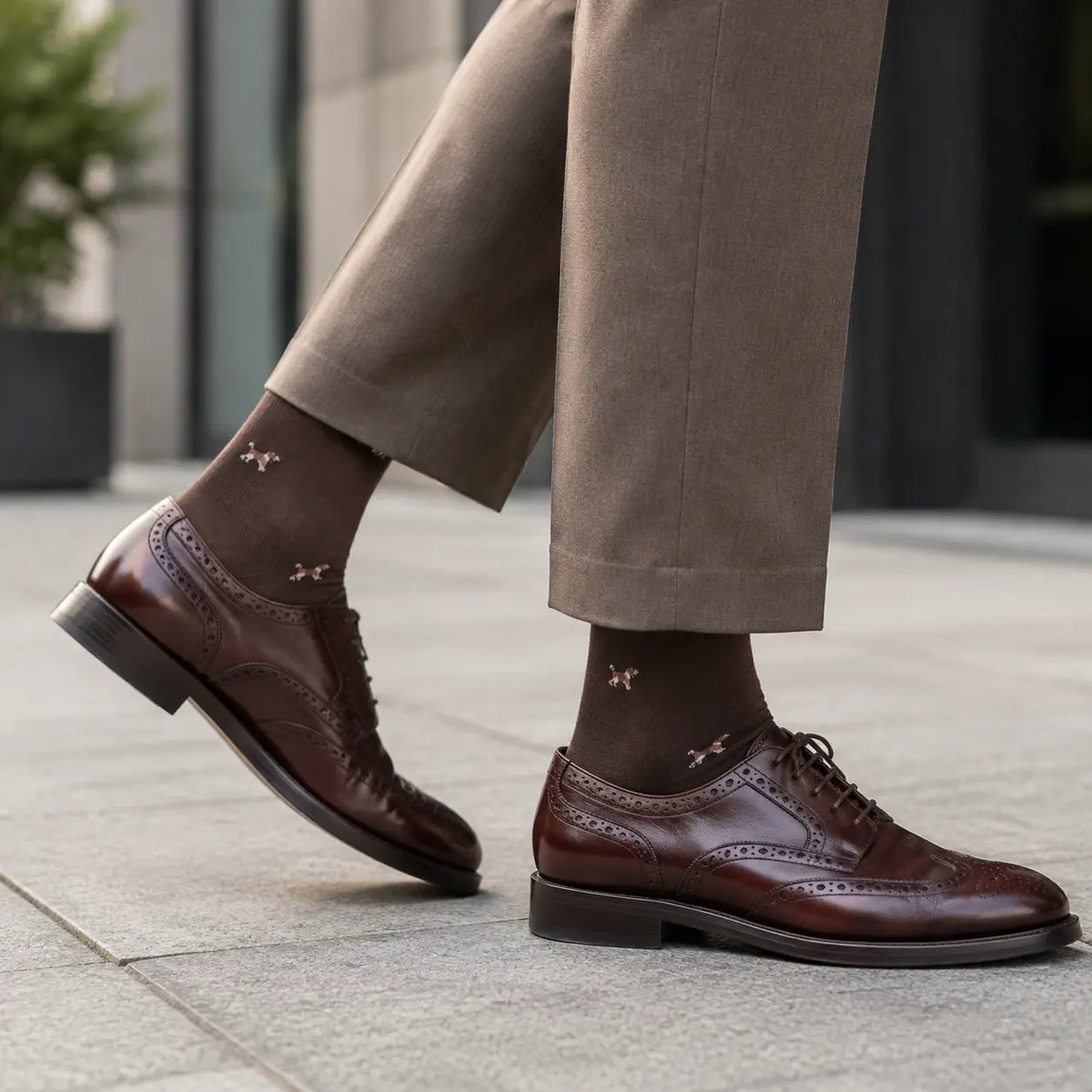 MACKINTOSH LONDON マッキントッシュ ロンドン ソックス ドッグ - カジュアルソックス  RENOWNINX ONLINE SHOP