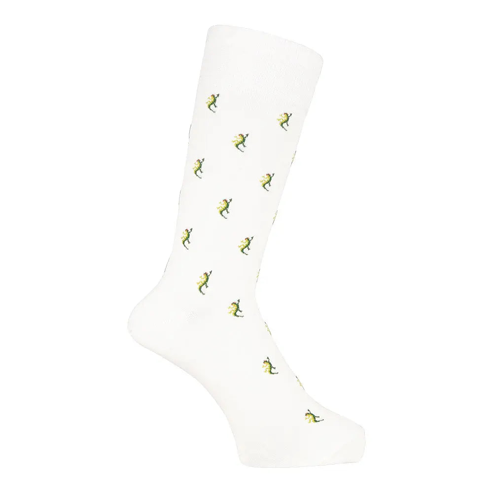 Aquascutum アクアスキュータム ニューライン ソックス トカゲ - カジュアルソックス  RENOWNINX ONLINE SHOP