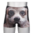 HIPSHOP ヒップショップ ボクサーパンツ Meerkat - パンツ  RENOWNINX ONLINE SHOP